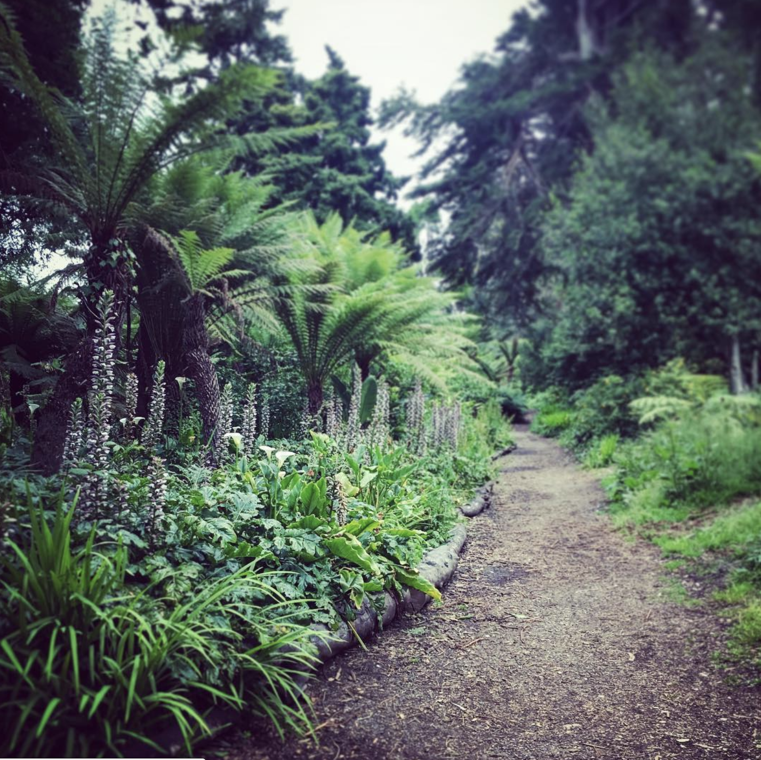 Screen Shot 2019-10-24 at 9.06.33 PM.png