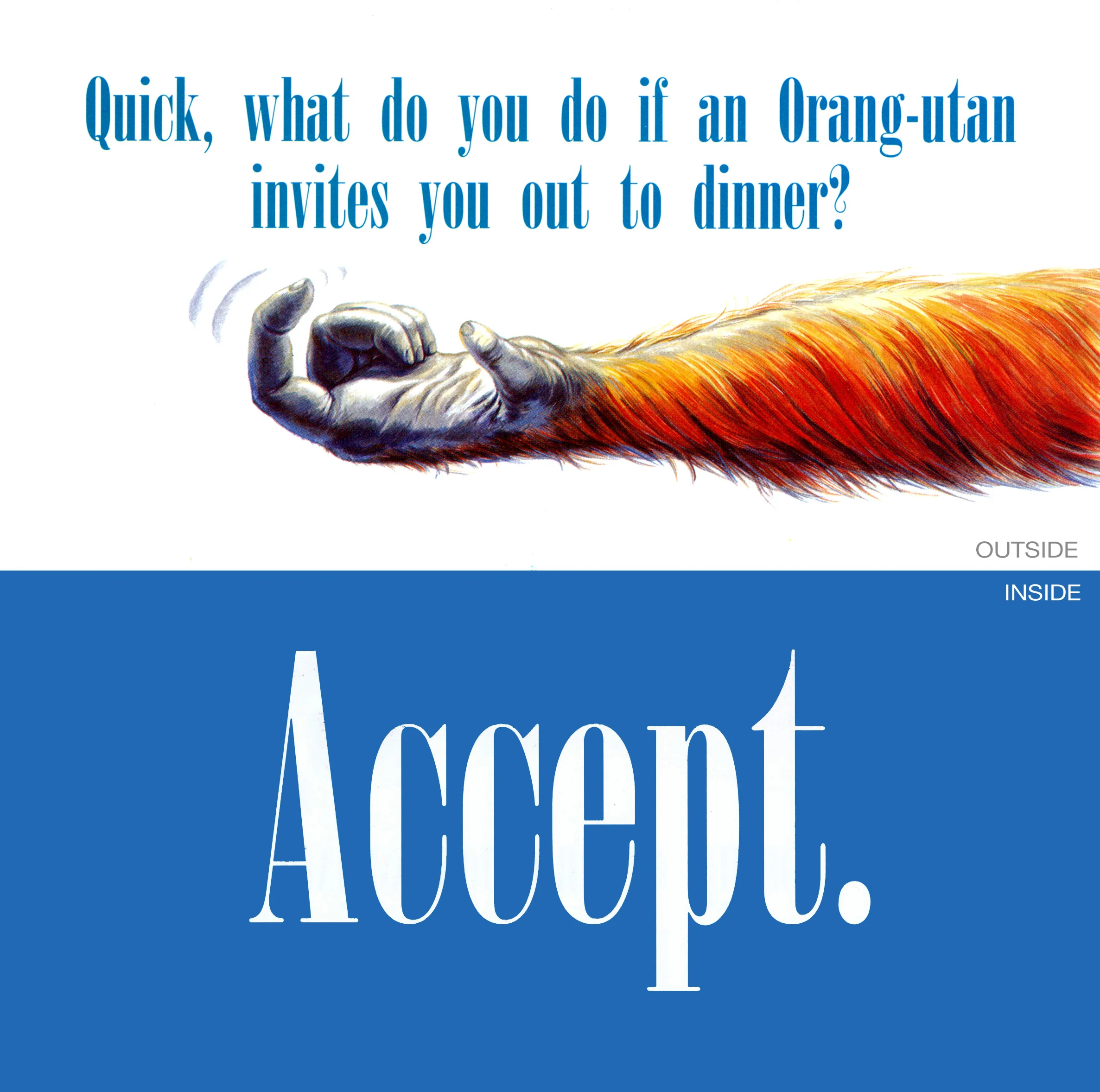 7. Orang-utan HR.jpg
