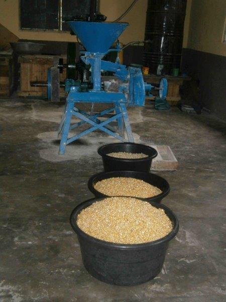 Grain Processing