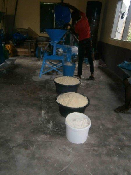 Grain Processing