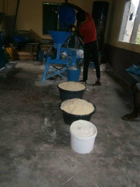 Processed Grain3.jpg