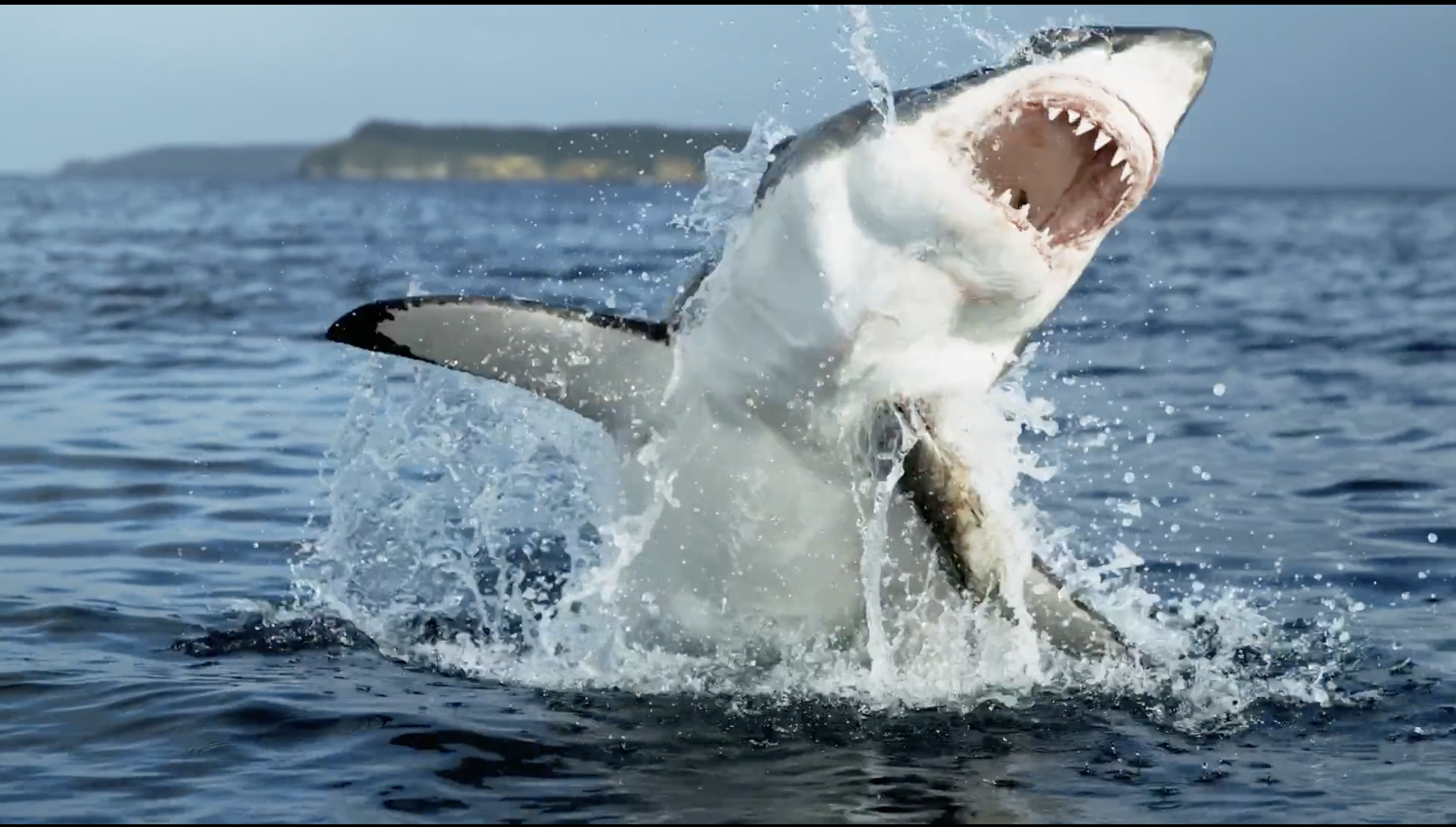 Screenshot 2025-05-29 at 8.21.43 PM.png