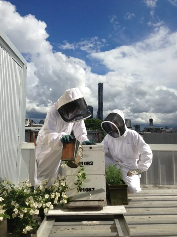 Food Connect Foundation Bee One Third