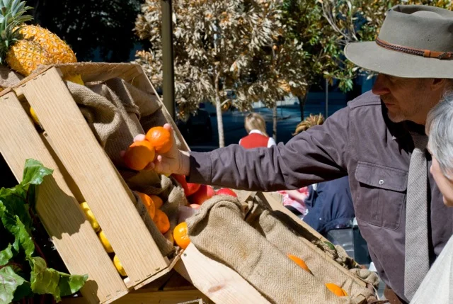 Pair of Oranges Food Connect Foundation.jpeg