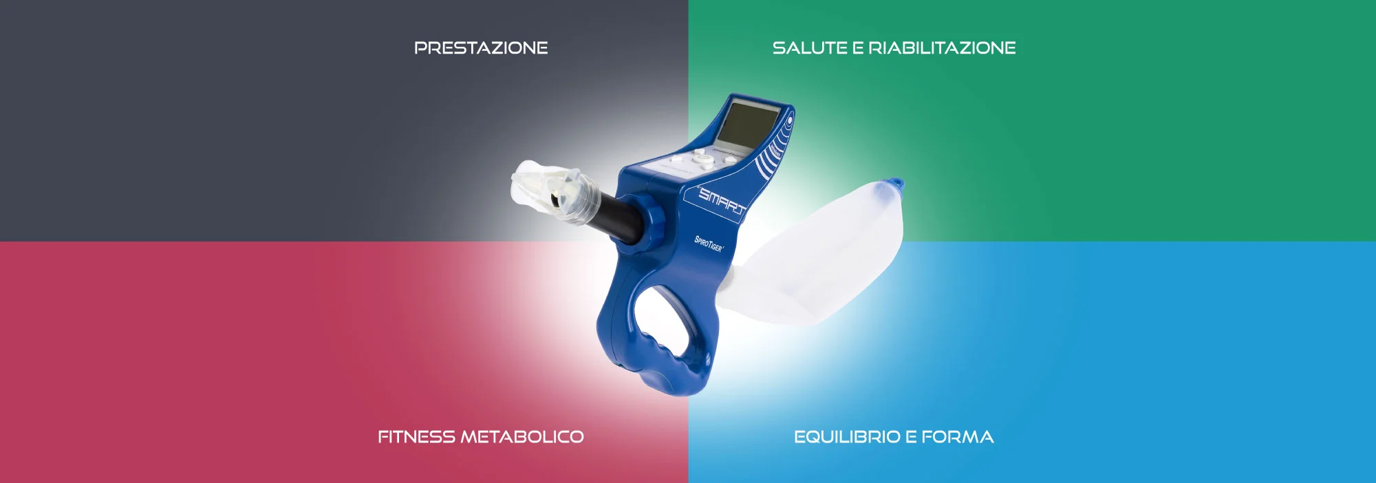 STIT-basehead1-p.jpg
