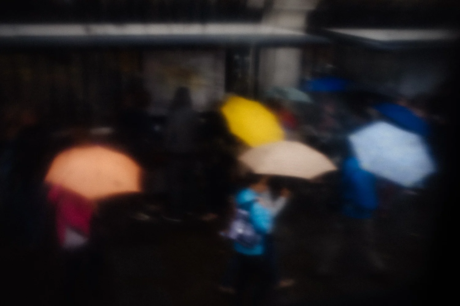 DSCF6423.jpg
