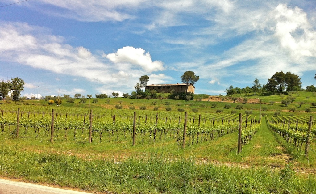 Croci, La Distesa en Sorgento del Vino