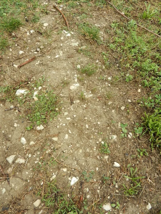 DSCN4626.jpg