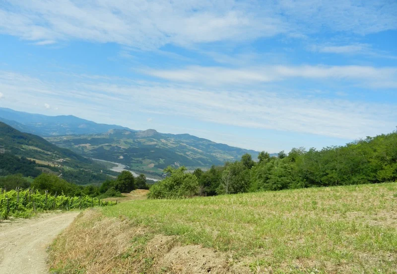 DSCN4657.jpg