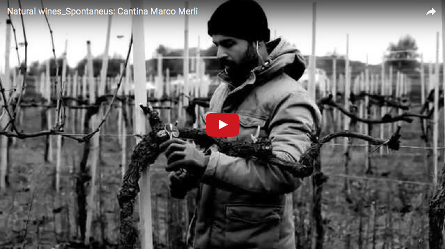 Cantina Marco Merli