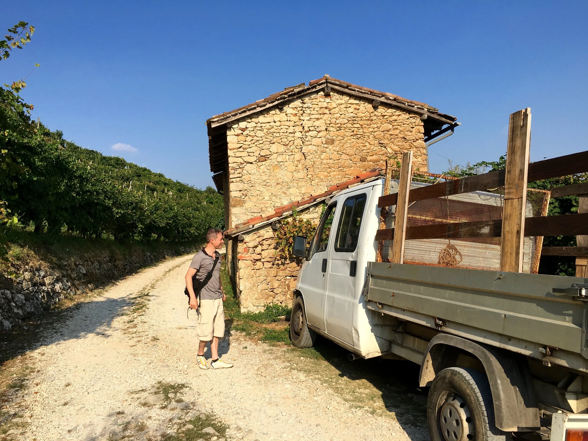 Vino Per Tutti Costadila 18.jpg