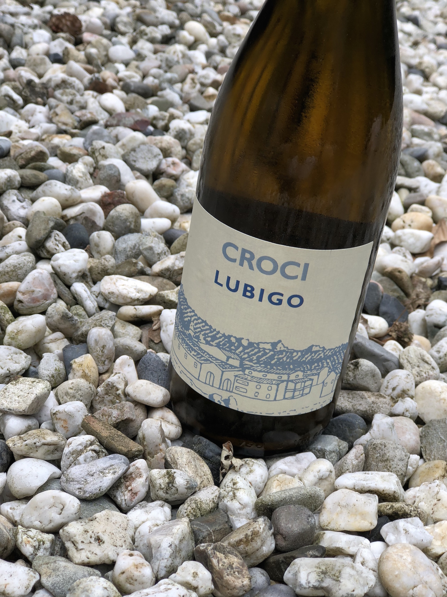 Croci Lubigo 2.jpeg