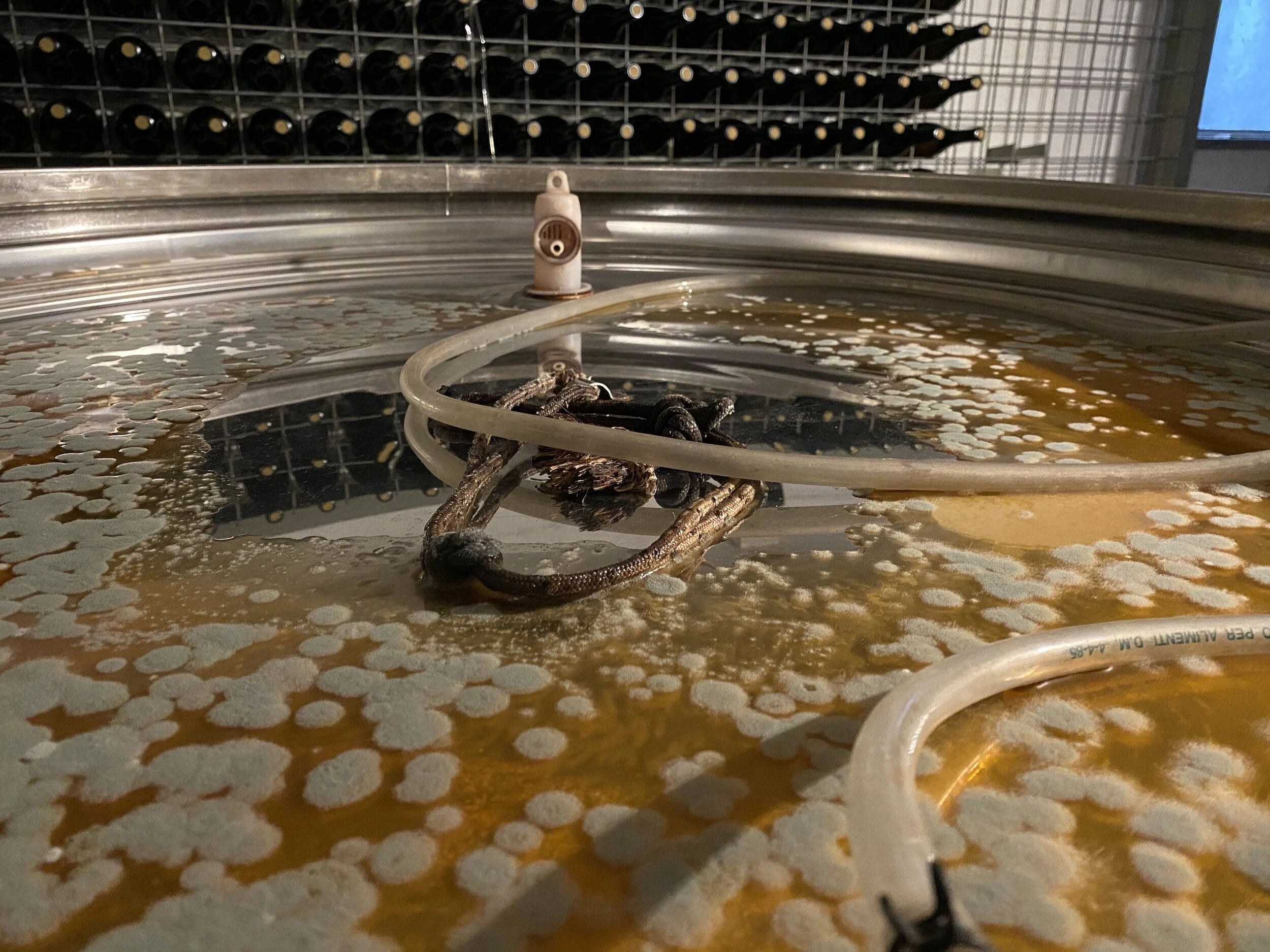 Thermische expansie in de kelder....