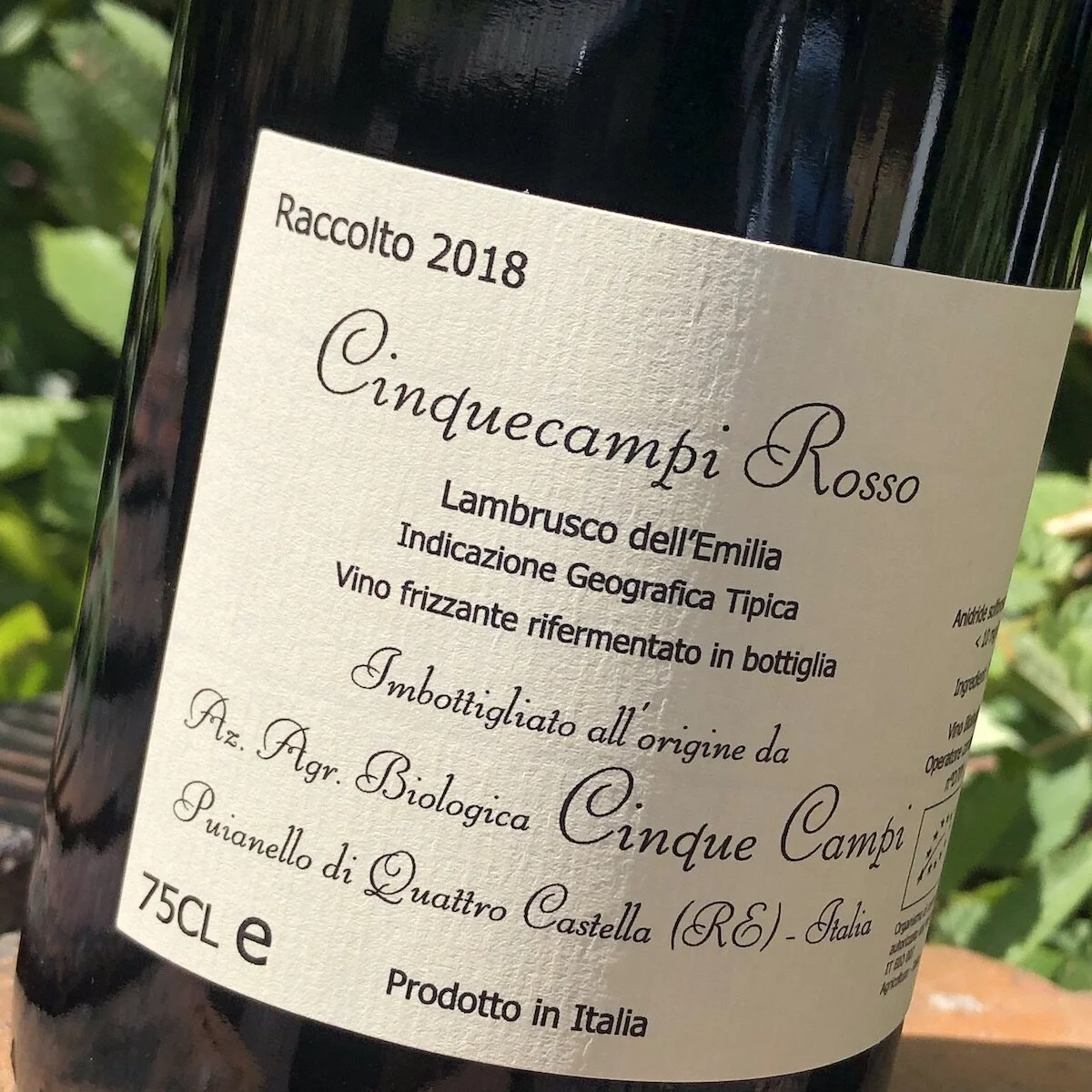 Lambrusco rules!