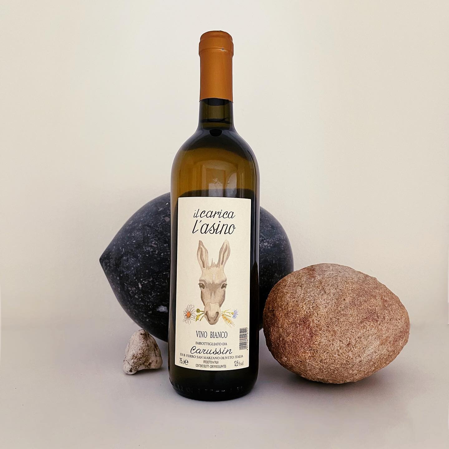 Weer een nieuwe fles in de webshop!
(Link in bio) 🍇

Wijnmaker Luca van Carussin houdt wel van experimentjes. Dit is er eentje,de 'Il Carica Asinoi 'Limited Edition Botte' Helaas met het normale etiket want de nieuwe waren op moment van verzenden no