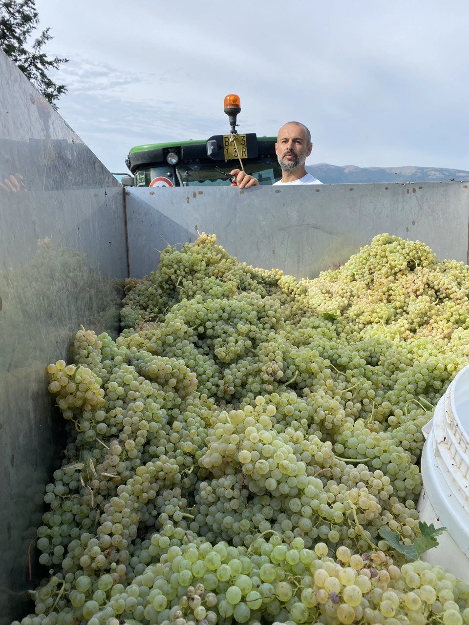 Oogst Marco Merli 2022