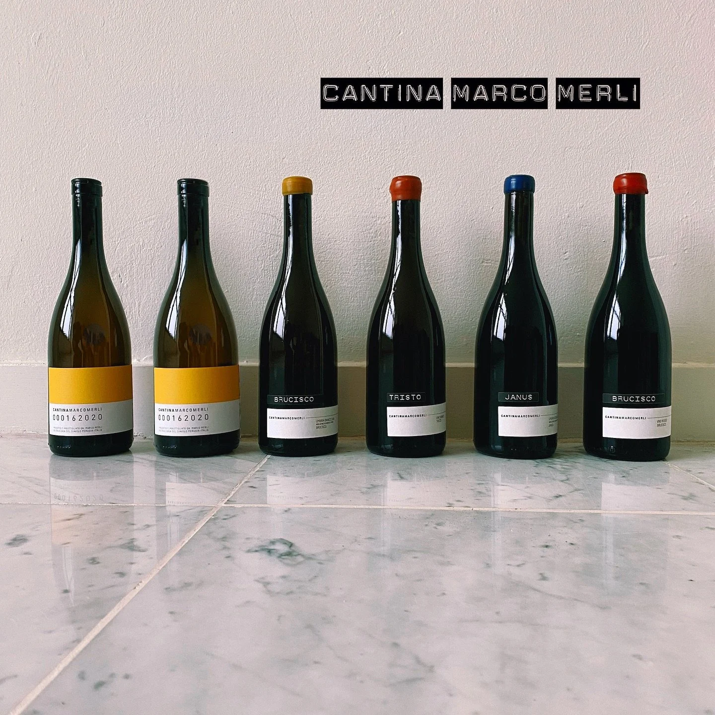 Niet vergeten! Deze week nog vanwege @naturalwinefestival.ams 10% korting op alle wijnen van Marco Merli(3 fles min.) inclusief de Marco Merli Box. 📦🍇 🍾👌🏼
Dus sla je slag! 
.
.
.
.
.
.
.
#marcomerli #cantinamarcomerli #tristorosso #natuurwijn #n