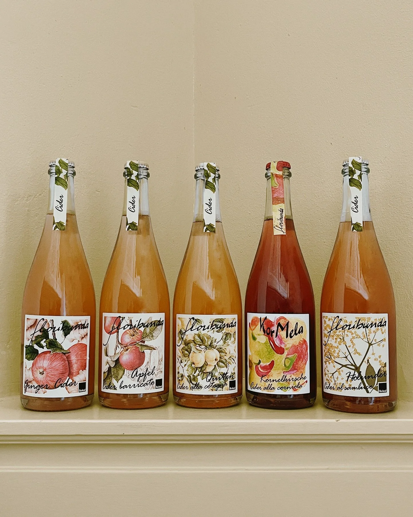 Nieuw in de shop! De fijne bubbels van @floribundacider uit Zuid-Tirol genesteld tussen Bolzano en Trento.
Hier maken Franz, Theolinde en dochter Magdalena hun mooie ciders. Toen grondlegger Anton Egger nog de leiding had, groeide de interesse al in 