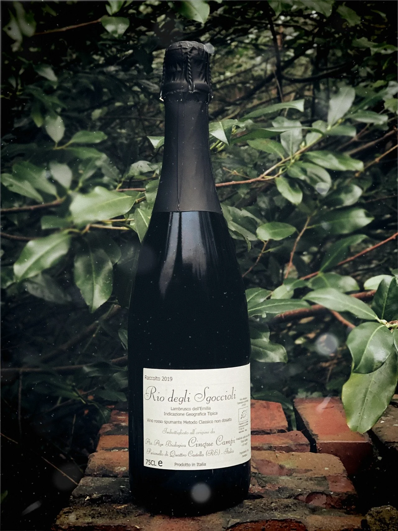Helaas helaas, het laatste jaargang van de Metodo Classico van de zeldzame Lambrusco Barghi uit Emilia is op! Maar&hellip;. We hadden het nieuwe jaargang (2022) al op voorraad en deze is dus ook per direct te vinden in de shop. 🍾
Ook deze zijn gemaa