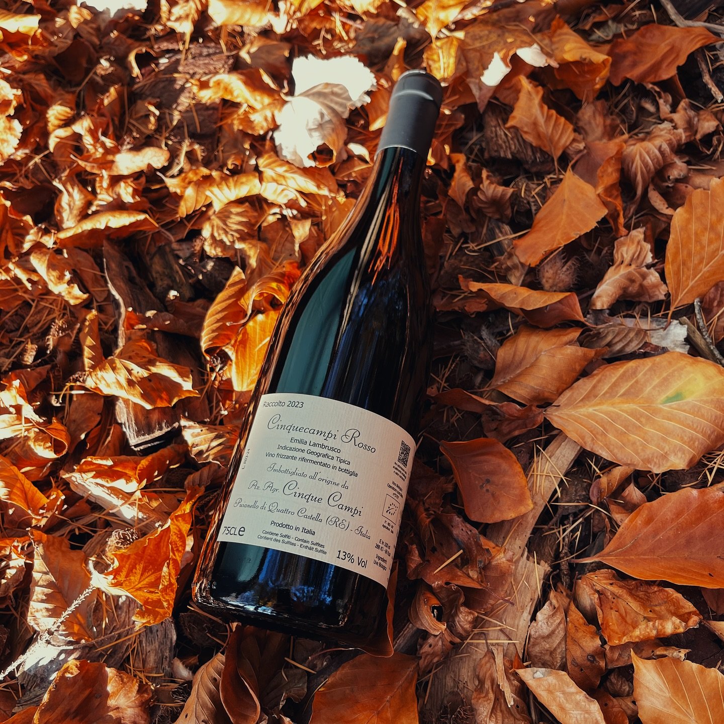 Volgens ons is het elke dag wel een goede dag voor Lambrusco en bubbels in het bijzonder.
Wij zijn fan van bubbels (mits op de juiste manier gemaakt) en dat steken we niet onder stoelen of banken.
En die gulle donkere Lambrusco Grasparrossa druif uit