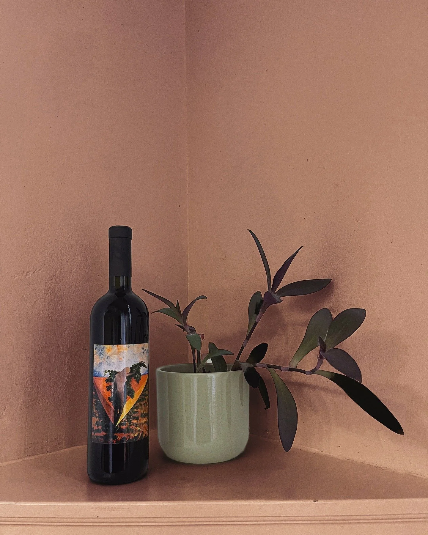 Voor wie iets bijzonders zoekt voor de komende feestdagen. 
De Nude 2004! 🍇 🍷
Knoestige oude planten op de juiste plek maken goede wijn en bij @cantinagiardino zit deze wijsheid in het DNA en de Nude is de vrucht hier van. De druiven komen van pre-