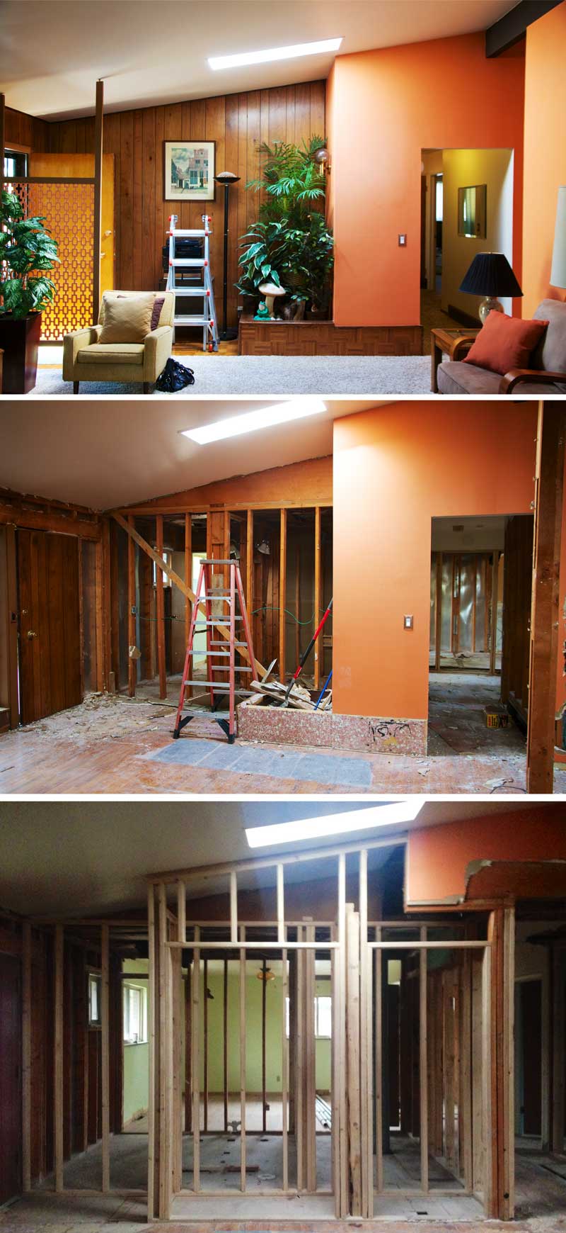 dexter-before-during-const.jpg