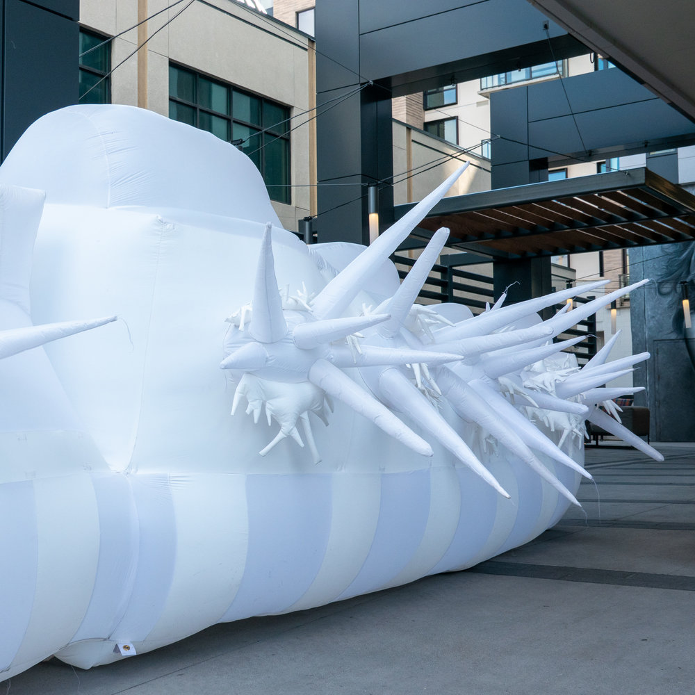 CCAF - Inflatables 02.jpg
