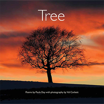 tree_bookcover.png