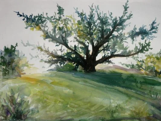 watercolor on paper, 22x30in