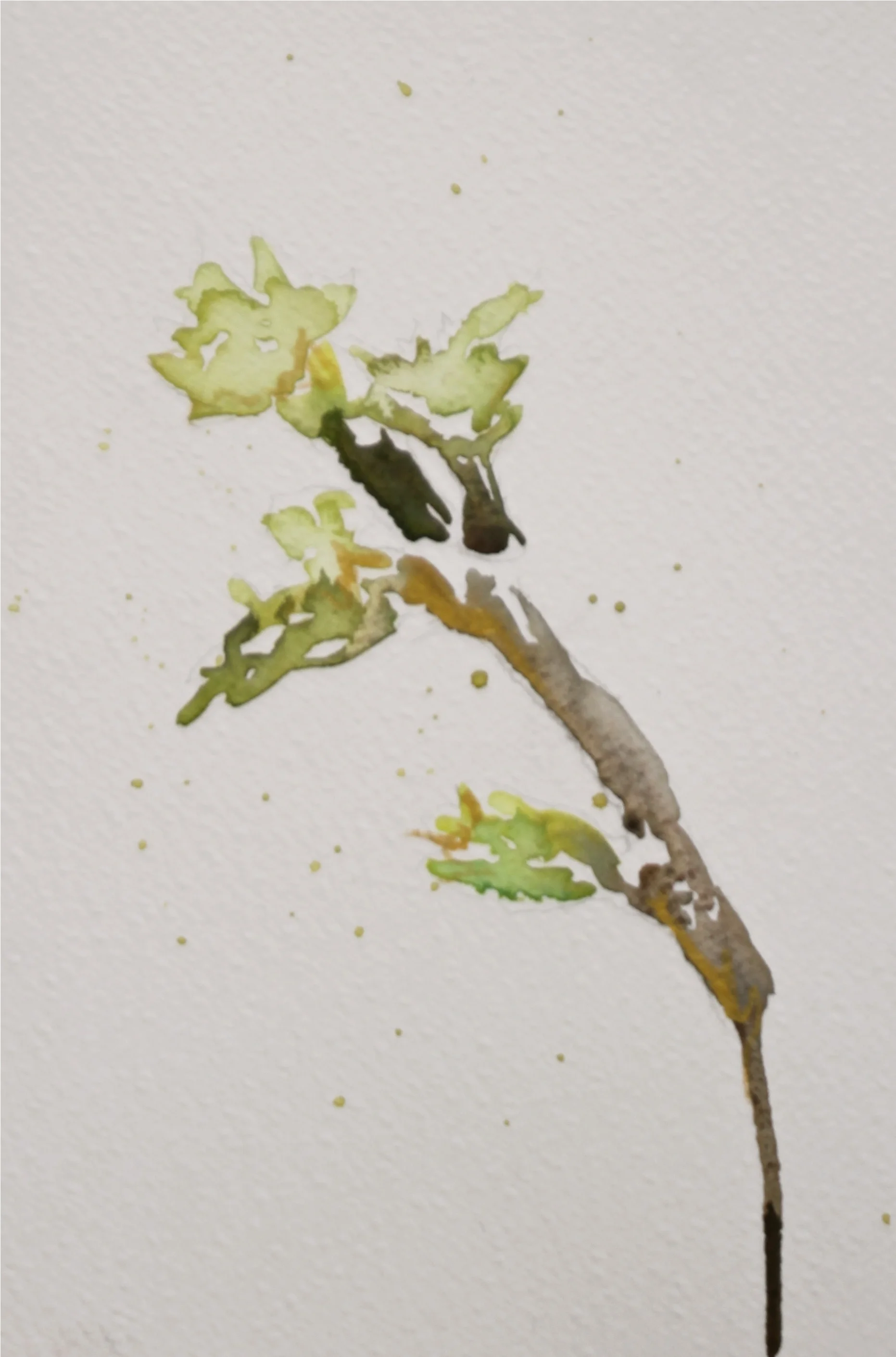  watercolor on paper with gold paint 6 x 9 in 