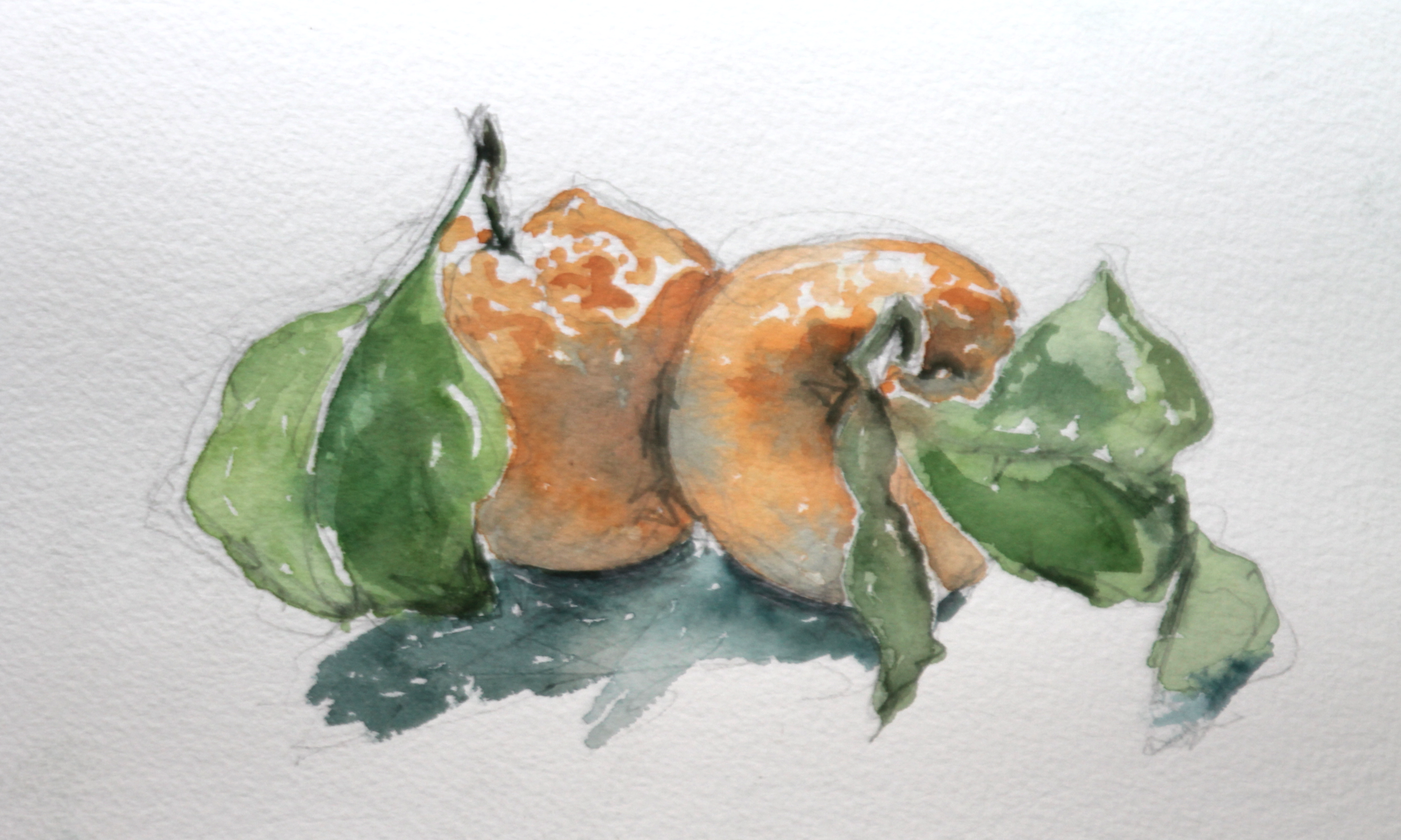  watercolor on paper 5x7in    