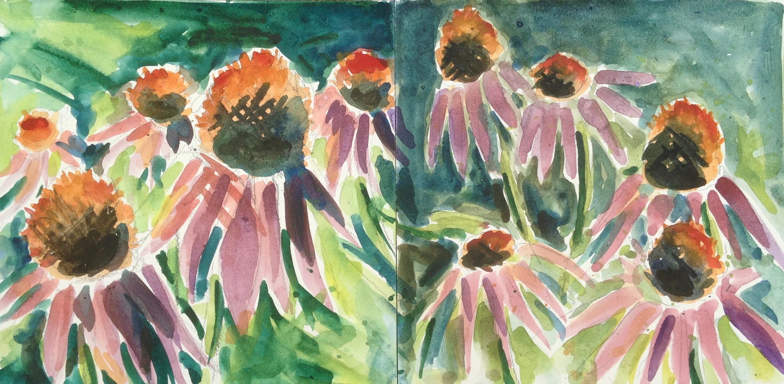 cone flowers
