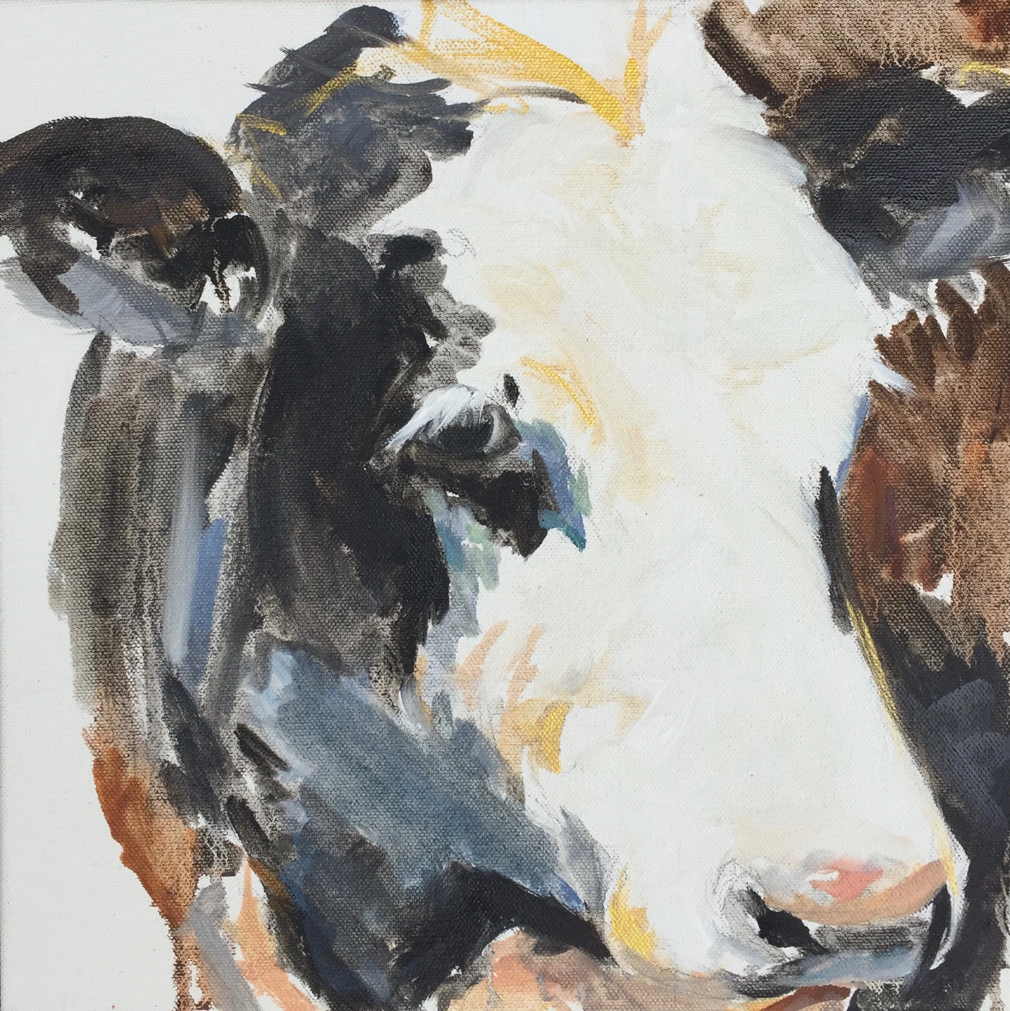 Cow study I