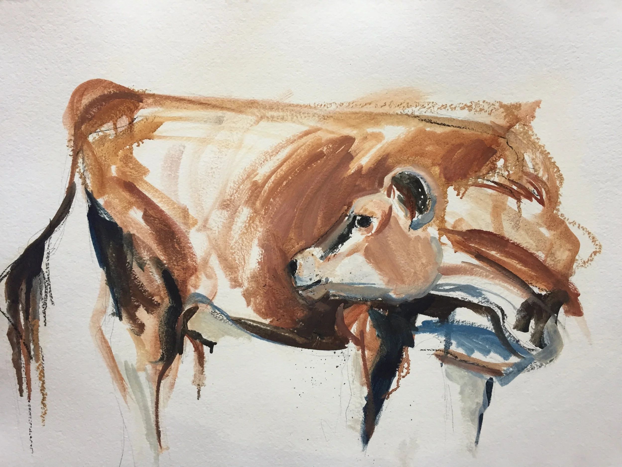 Cow Study II