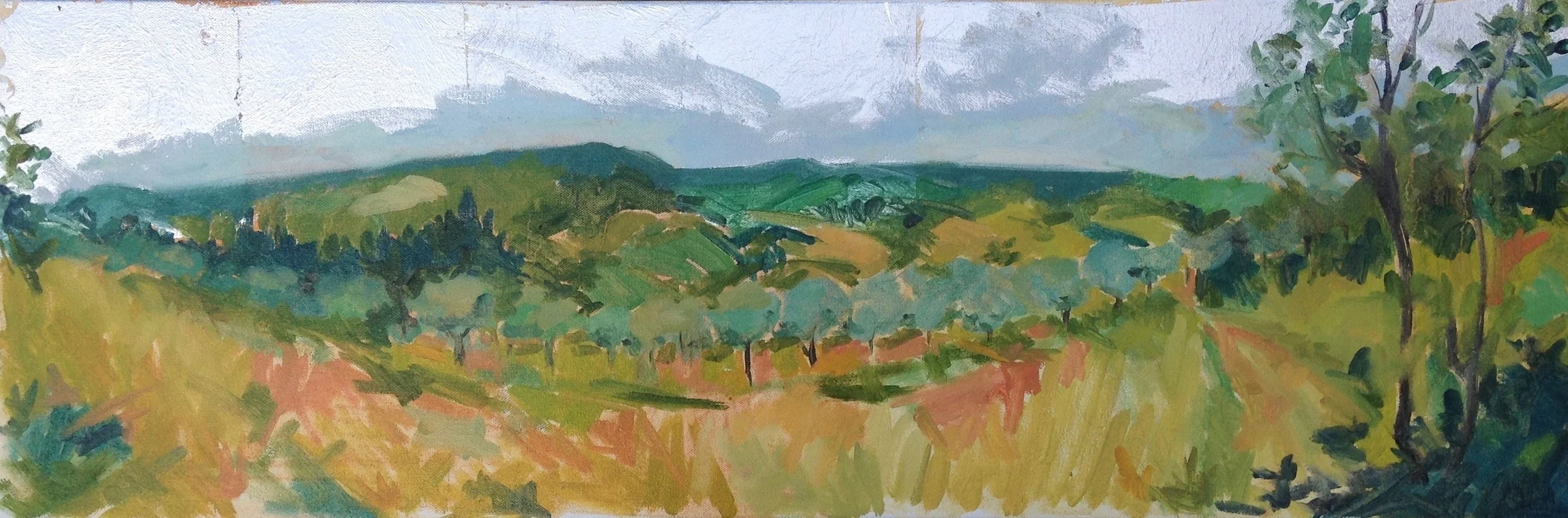 The Olive Grove