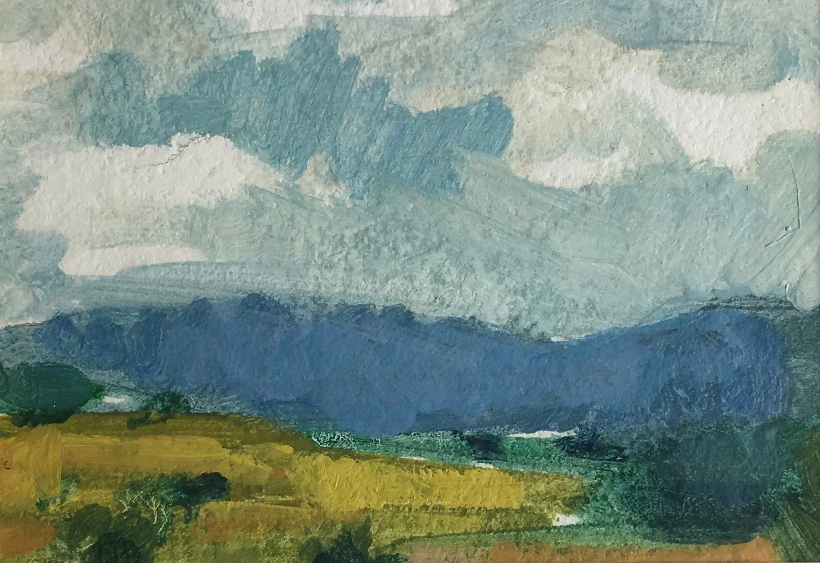 landscape study