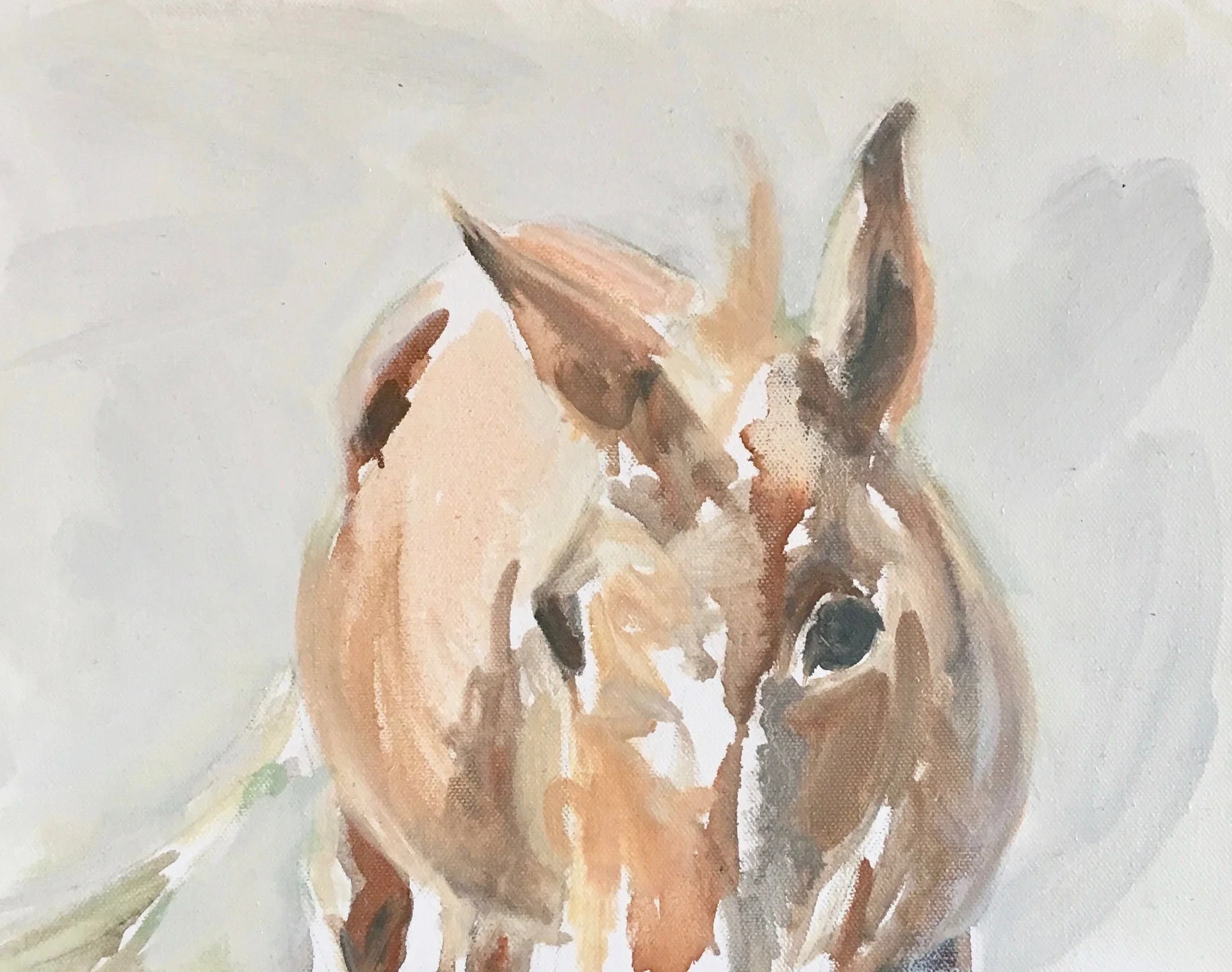 Carol's mule.