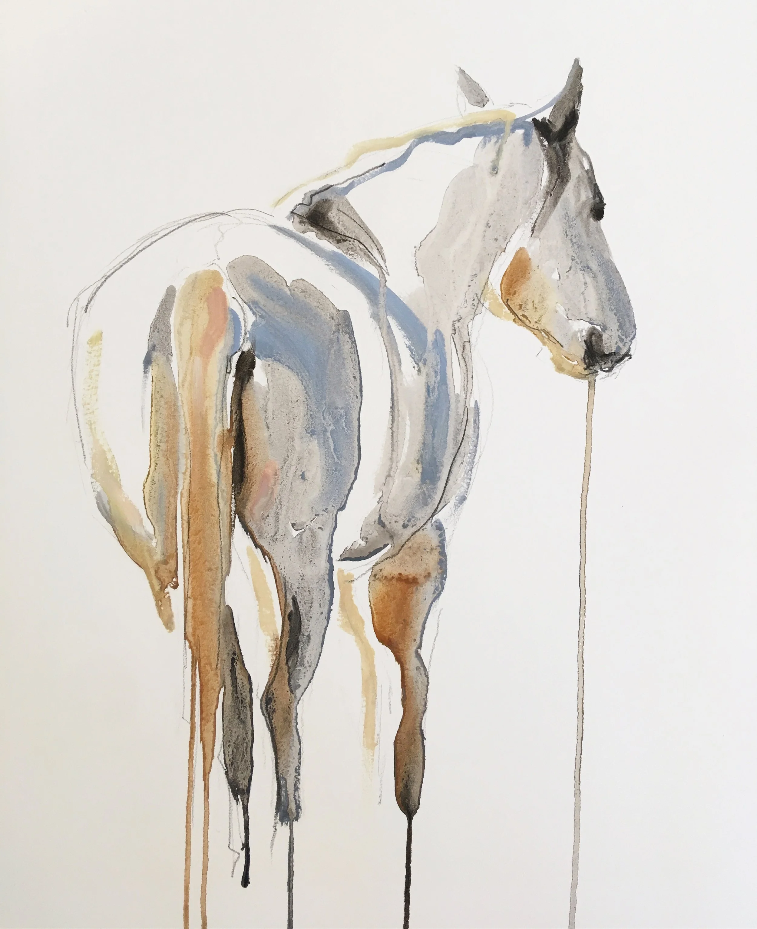 Horse Study III