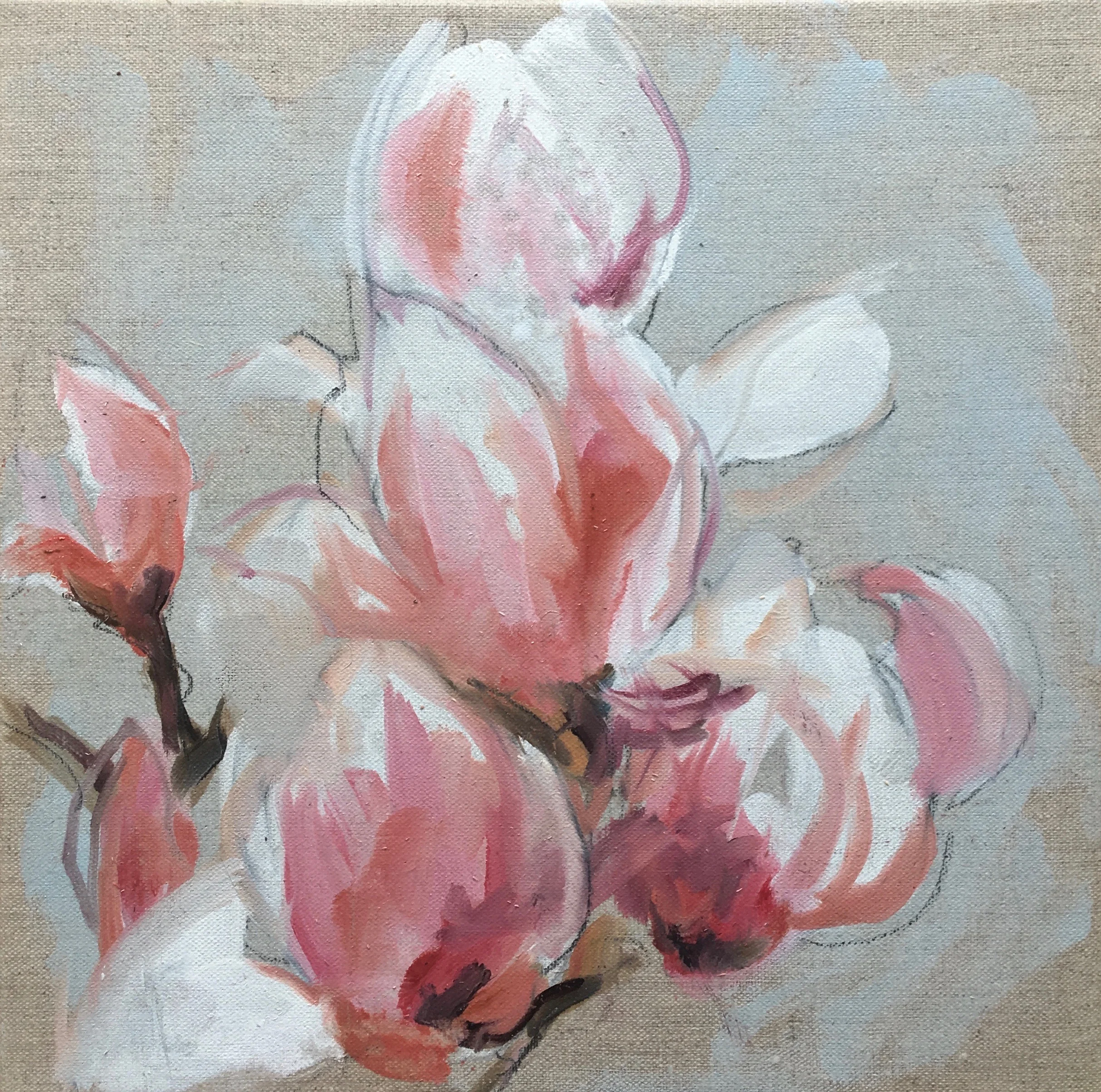 Sauce Magnolia study