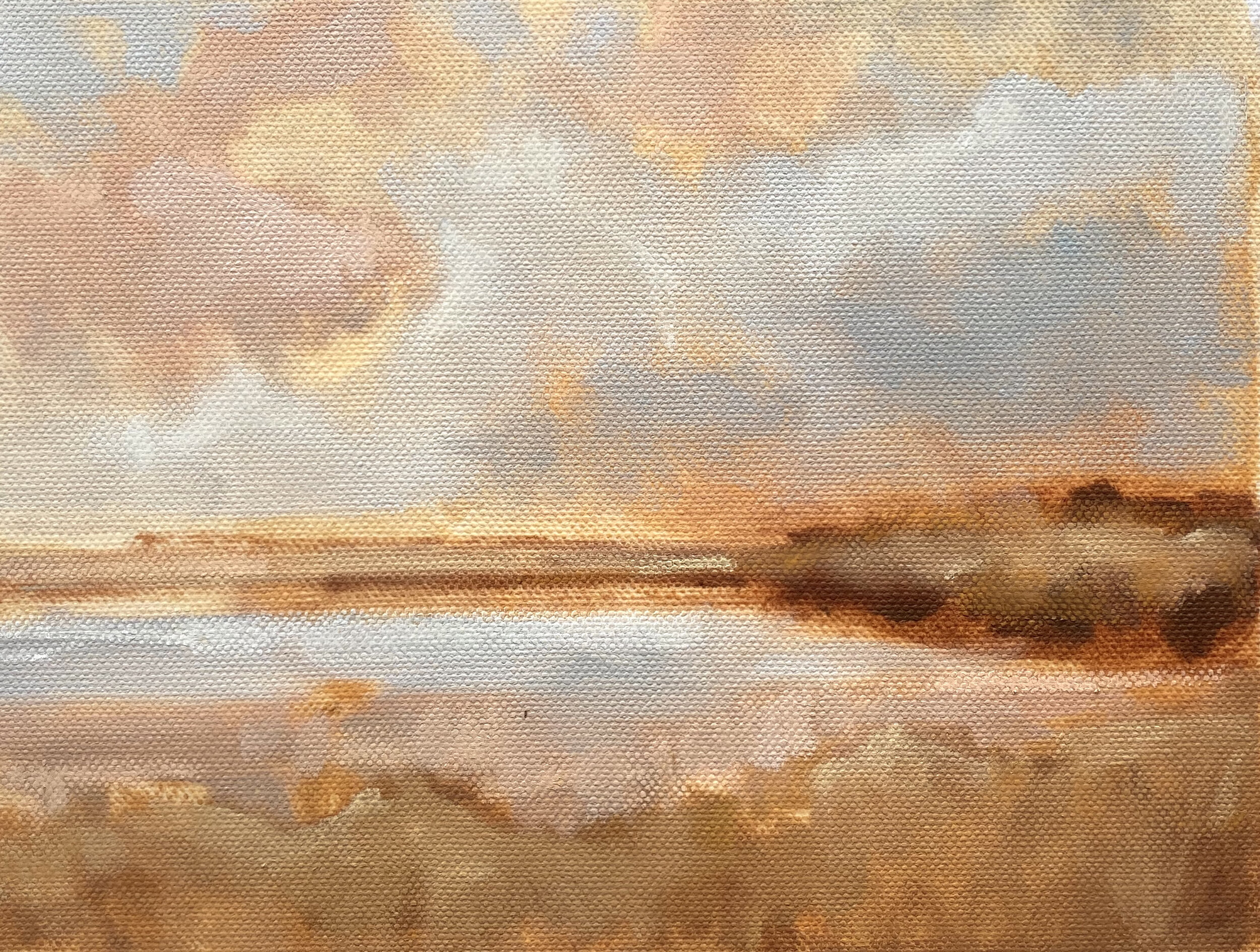marsh study