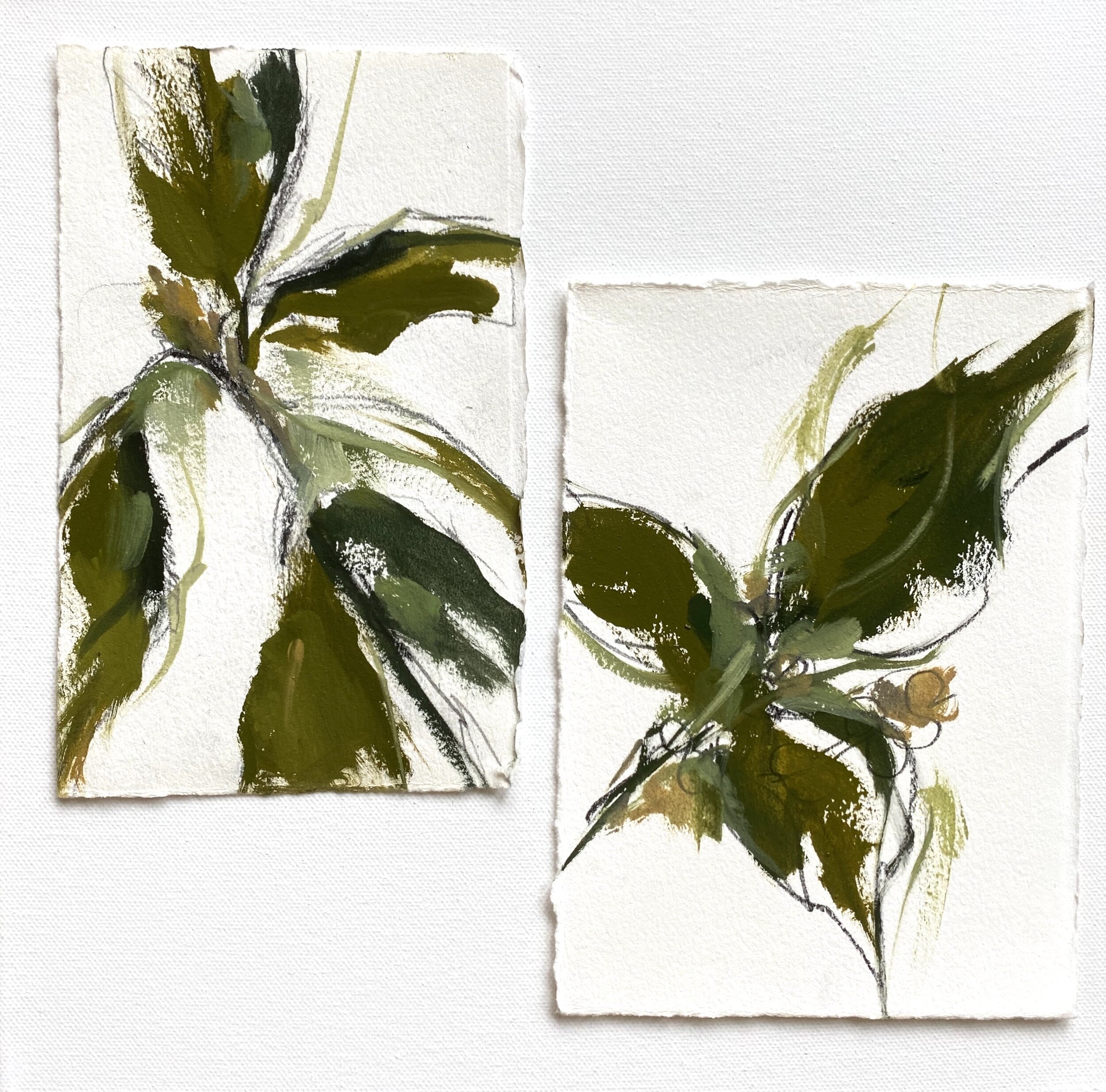 magnolia leaf study on paper