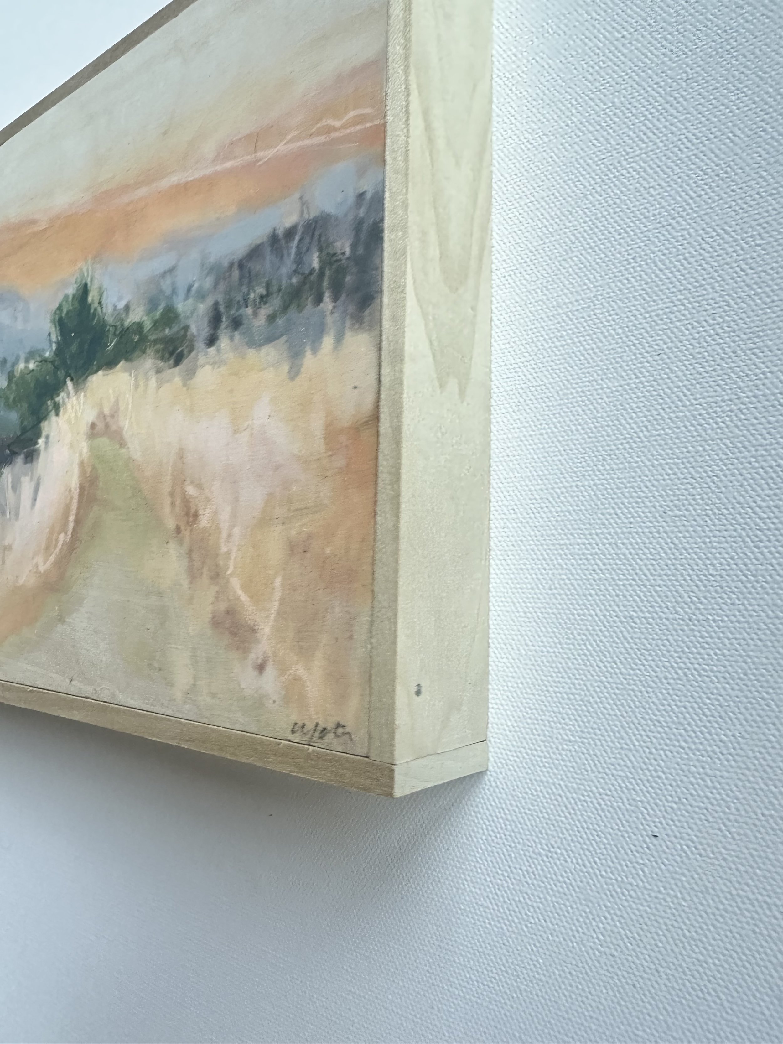 IMG_0265 (1).jpeg