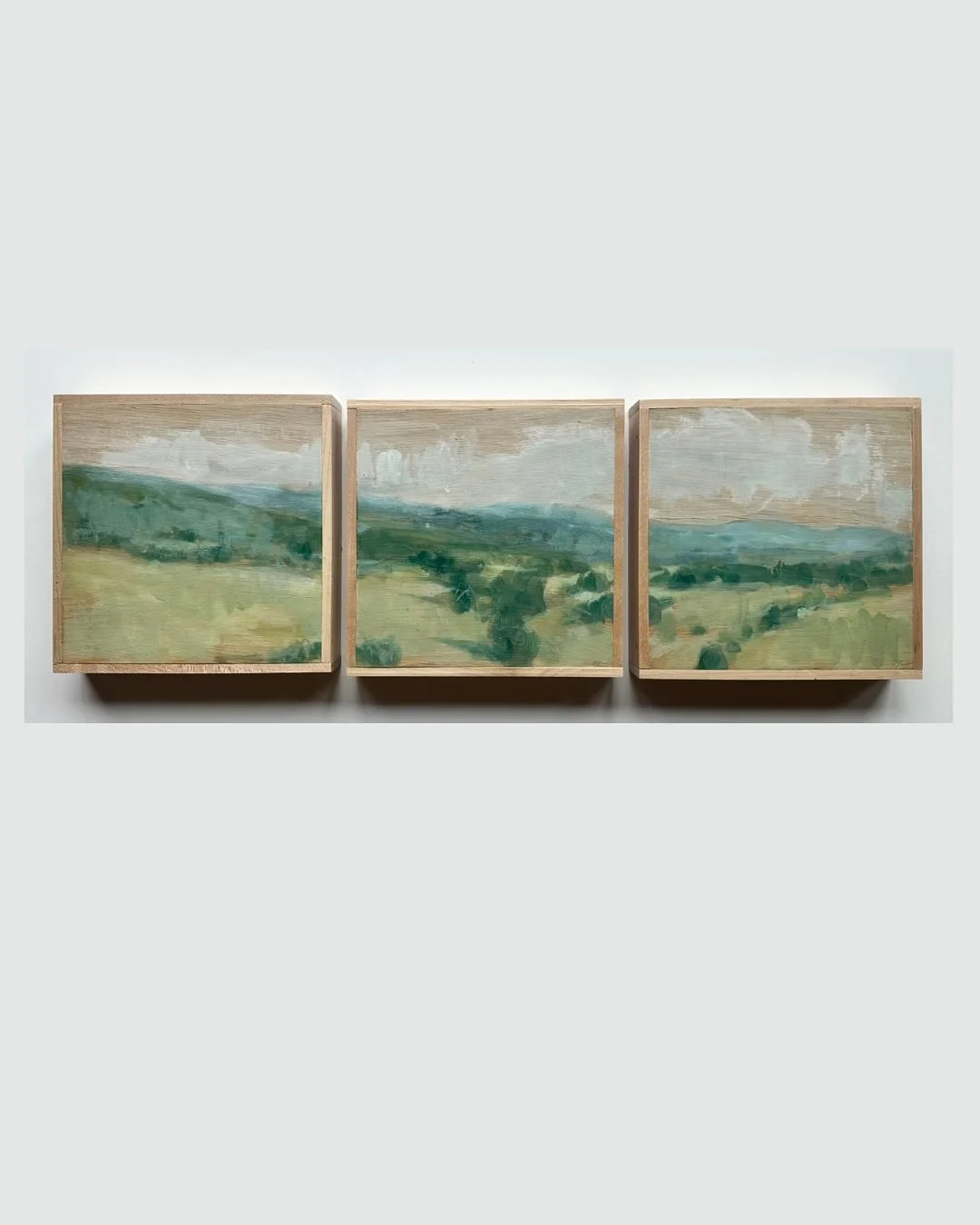 &ldquo;Lost in the great turning.&rdquo;
8 x 24 in, oil on oak.
2025

These three sold last night at the preview party but still many other littles available in the 8th annual Teeny Tiny Trifecta! 

@secondstreetgallery #teenytinytrifecta8 #landscape