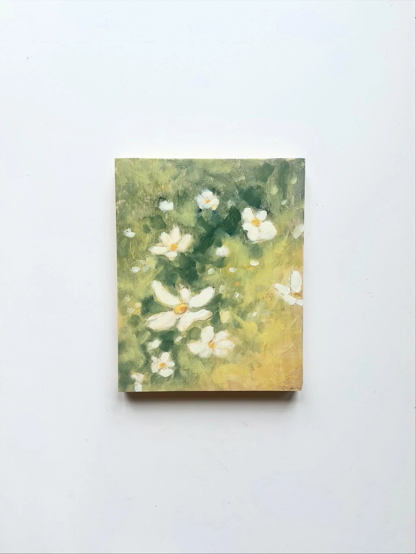 I planted a bag of white flower seeds last spring and didn&rsquo;t quite know what would come of it. Holy Cosmos! In love.

Cosmos study.
10 x 8 in oil on panel.
2025 (Sold)

Swipe through to see the 48 x 36 version I&rsquo;m finishing up that will b