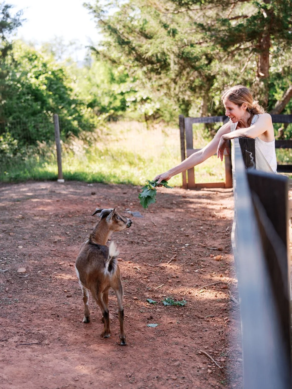 ChristenYates_June2026_AmyNicolePhotography-159.jpg