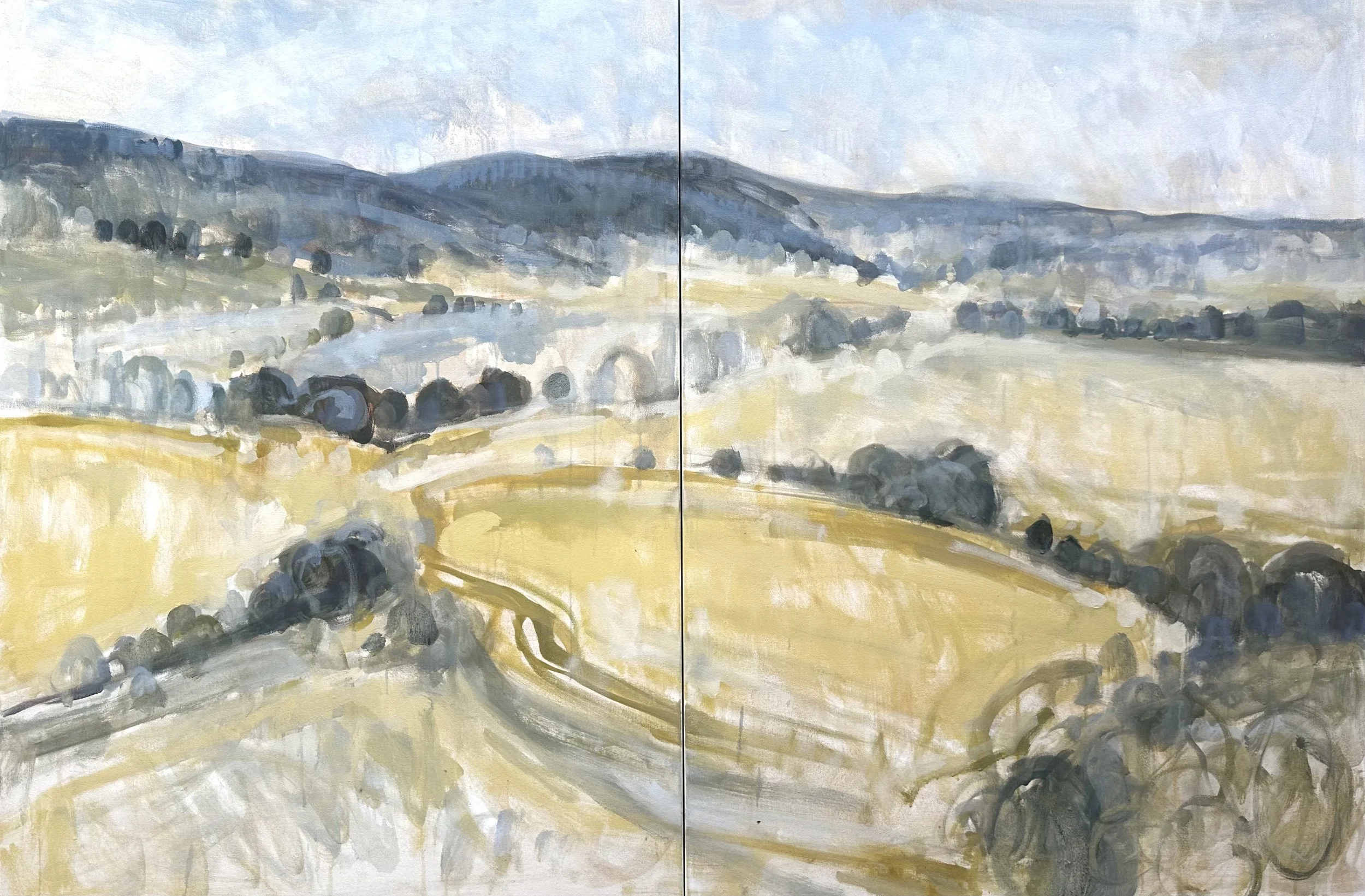 Commonwealth: UVA Hospital Solo Show