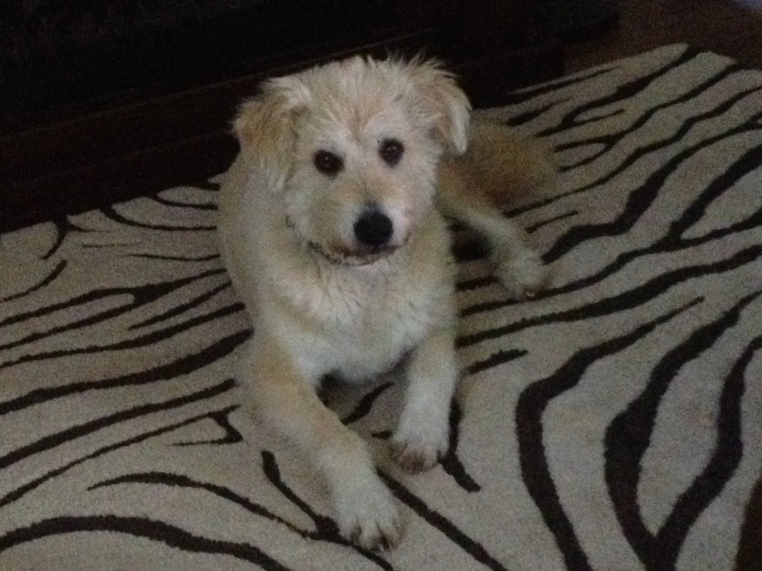 Charlie