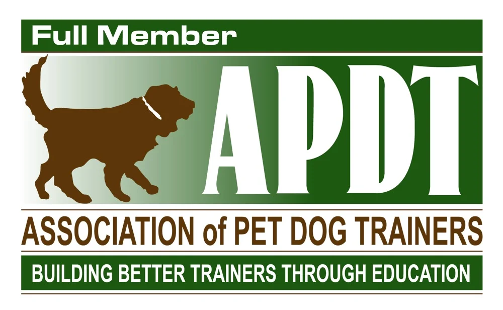 Savvy Dog Training
