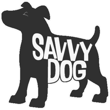 Savvy Dog