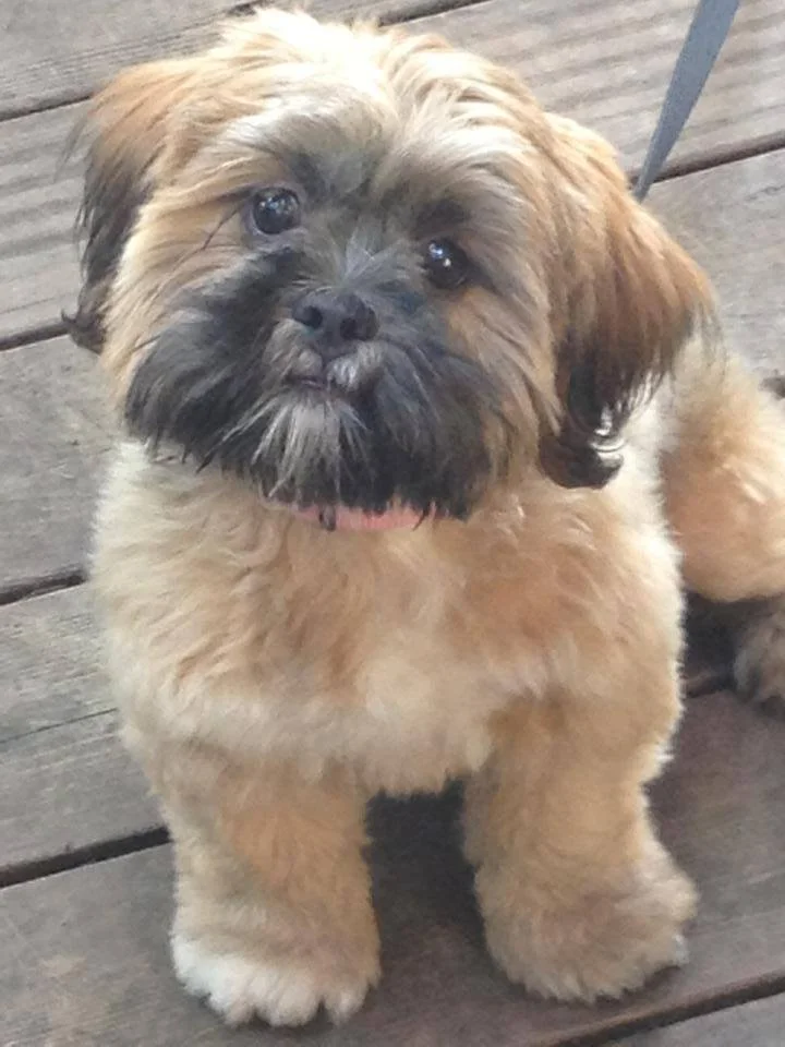 Lucy